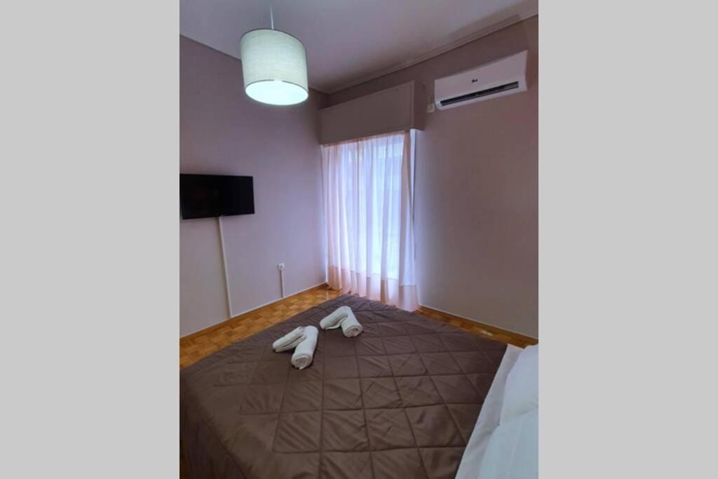 Greek Hospitality In A Modern Apartment アテネ エクステリア 写真
