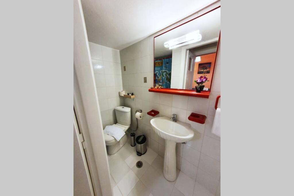 Greek Hospitality In A Modern Apartment アテネ エクステリア 写真